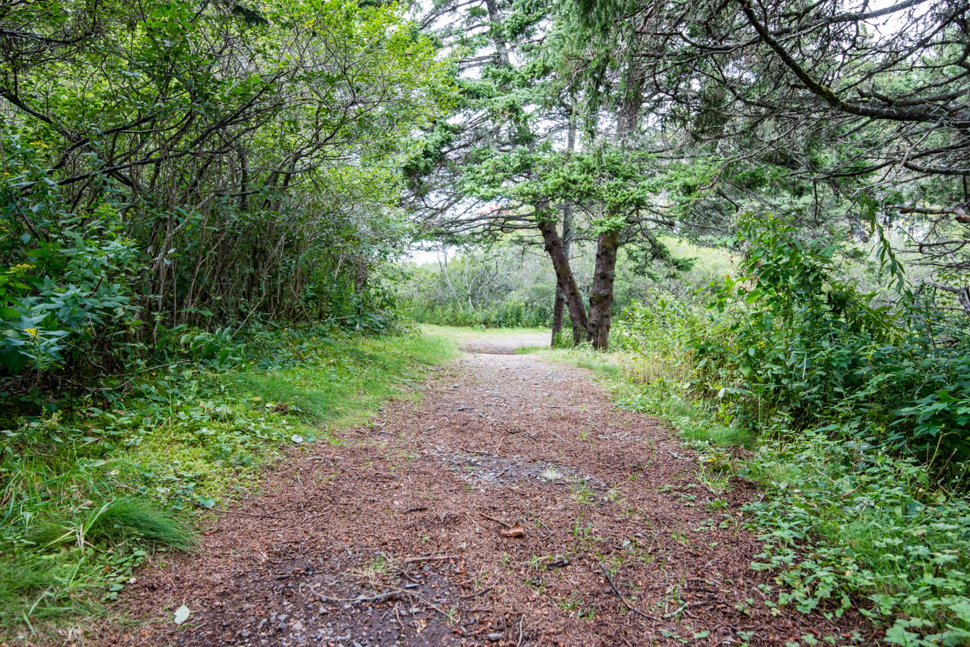 Le Petit Bois Trails  Tourism Nova Scotia, Canada